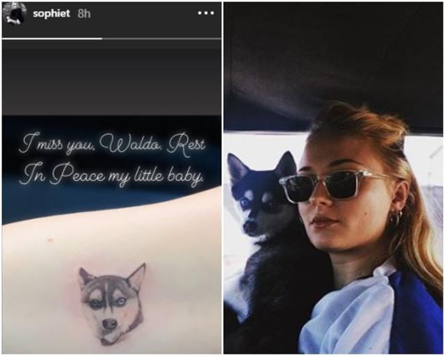 Sophie Turner’s pet Waldo died suddenly in a freak accident. Sophie Turner’s pet Waldo died suddenly in a freak accident.