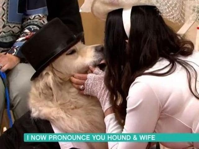 Watch: Woman marries her dog on live TV show, stuns people | Trending -  Hindustan Times