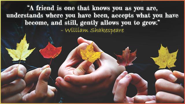 Friendship Day 2019: Quotes you can share with your friends. Friendship Day 2019: Quotes you can share with your friends.