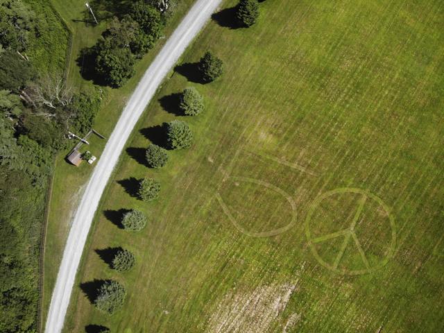 The number 50 and a peace sign mowed into the grass at the site of the 1969 Woodstock Music and Arts Fair in Bethel, N.Y. (AP) The number 50 and a peace sign mowed into the grass at the site of the 1969 Woodstock Music and Arts Fair in Bethel, N.Y. (AP)