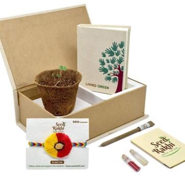 Seedrakhi can be grown into plants. Seedrakhi can be grown into plants.