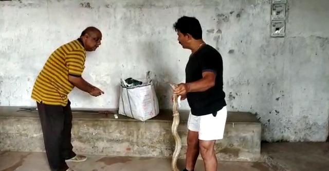 Manoj Kumar Das holding an injured snake. Manoj Kumar Das holding an injured snake.