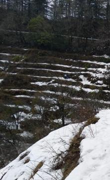 Dhanaulti. Dhanaulti.