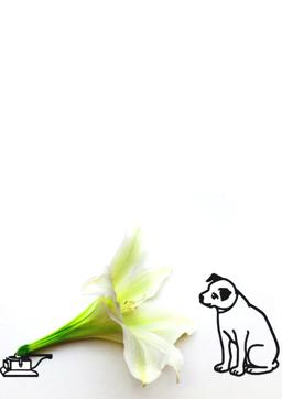 Article image Article image