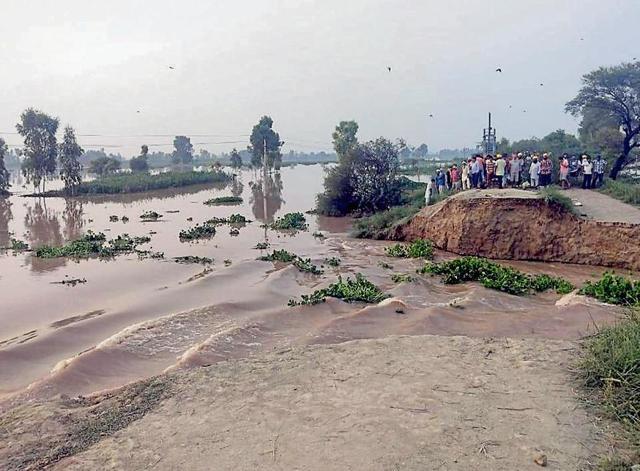 A massive breach at Saroopwal village near Sultanpur Lodhi. (HT Photo ) A massive breach at Saroopwal village near Sultanpur Lodhi. (HT Photo )