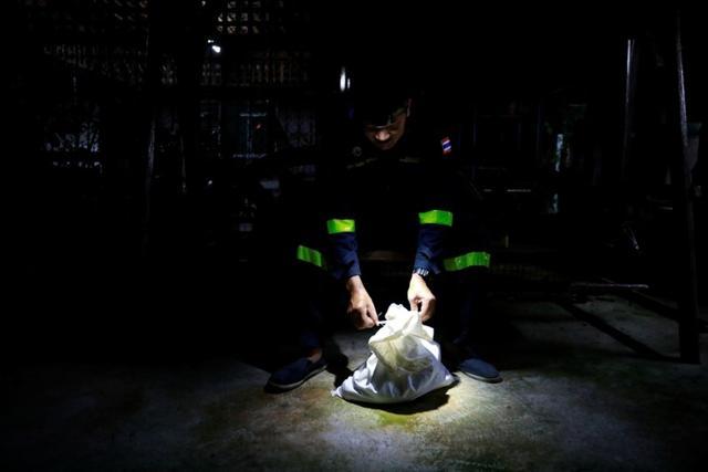 Firefighter Pinyo Pukpinyo ties a bag with a python inside after catching it at home in Bangkok. (REUTERS) Firefighter Pinyo Pukpinyo ties a bag with a python inside after catching it at home in Bangkok. (REUTERS)