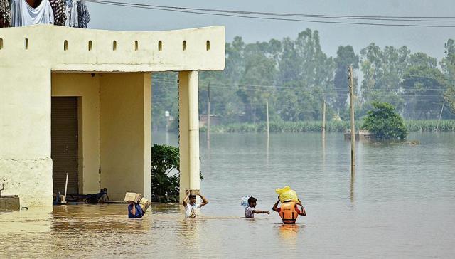 People carry relief materials and wade through flooded area at Jania Village in Jalandhar. (ANI ) People carry relief materials and wade through flooded area at Jania Village in Jalandhar. (ANI )