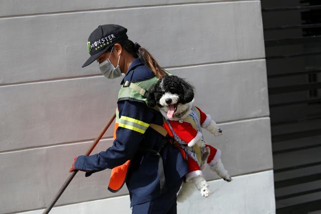 Thitirat Keowa-ram, Bangkok's street sweeper, working while carrying her 1-year old poodle. (REUTERS) Thitirat Keowa-ram, Bangkok's street sweeper, working while carrying her 1-year old poodle. (REUTERS)