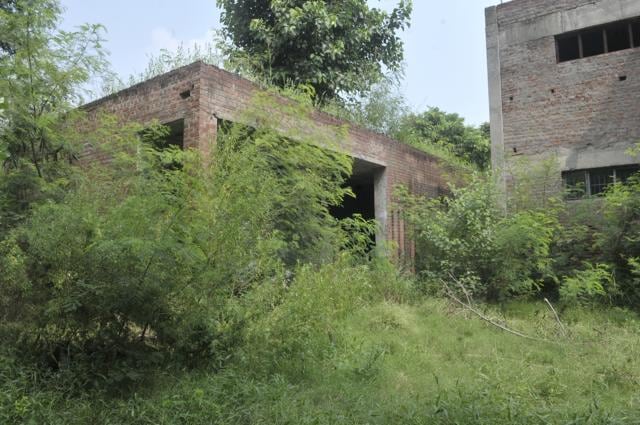 Periphery of the hostel building enveloped by wild grass. (Gurminder Singh/HT)