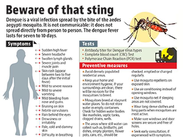 Article image Article image