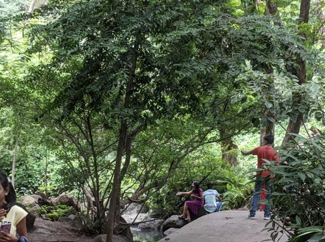 Osho Teerth has become one of the main attractions in Pune. At least 1,000 people visit the park during the week and at least 2,500 people visit on Sundays. (HT/PHOTO) Osho Teerth has become one of the main attractions in Pune. At least 1,000 people visit the park during the week and at least 2,500 people visit on Sundays. (HT/PHOTO)