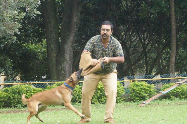 Amrut S Hiranya training Rana, the narcotics detection dog
