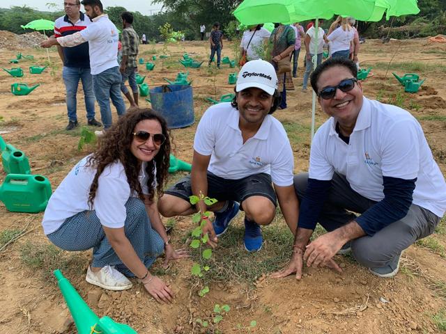 Saplings suitable for the forest soil were planted in the Aravalli area.