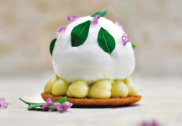 Lemon tart, where each ingredient is like a piece of art Lemon tart, where each ingredient is like a piece of art