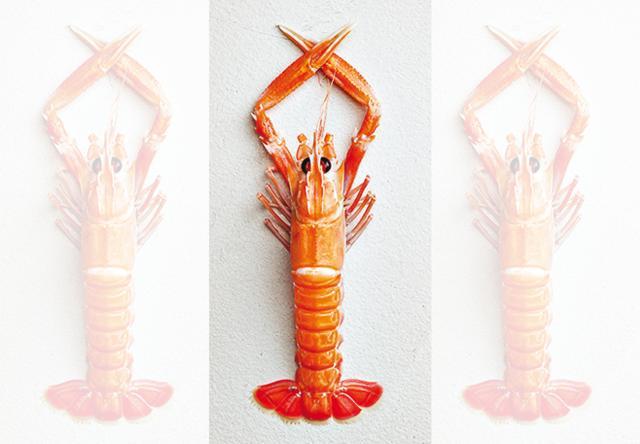 Langoustine is served as part of a dish called Hokkaido Uni Langoustine is served as part of a dish called Hokkaido Uni