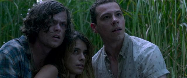 Harrison Gilbertson, Laysla De Oliveira and Avery Whitted in a still from In the Tall Grass. (Netflix) Harrison Gilbertson, Laysla De Oliveira and Avery Whitted in a still from In the Tall Grass. (Netflix)