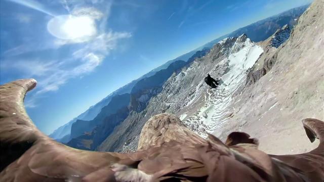 An aerial footage shot by a camera attached to an eagle of a glacier in Western Europe. (AP) An aerial footage shot by a camera attached to an eagle of a glacier in Western Europe. (AP)