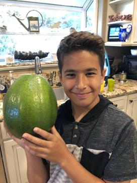 The photo shows Lo'ihi Pokini posing for a photo with the world’s heaviest avocado. (AP) The photo shows Lo'ihi Pokini posing for a photo with the world’s heaviest avocado. (AP)