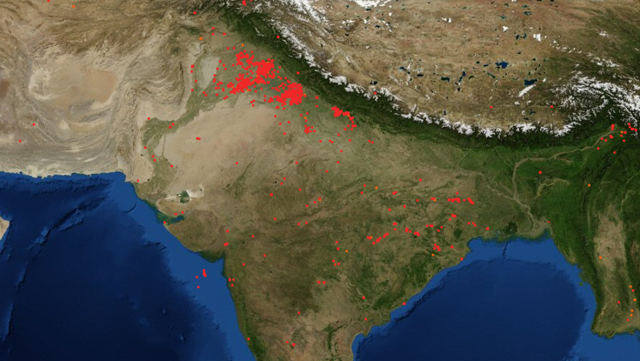 The red dots indicate stubble burning in neighbouring states. (Photo: NASA (FIRMS)) The red dots indicate stubble burning in neighbouring states. (Photo: NASA (FIRMS))