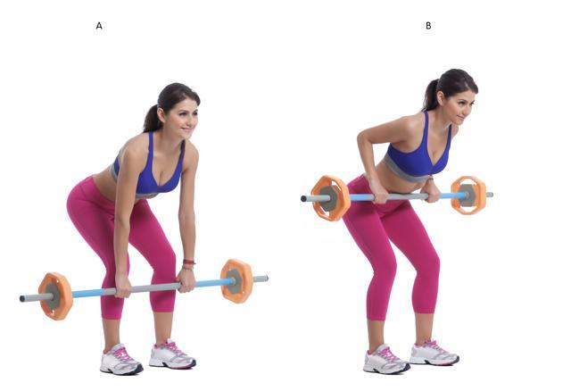 Exercises like Barbell rows are very important for beginners as more load can be utilised over a large section of the body (Shutterstock) Exercises like Barbell rows are very important for beginners as more load can be utilised over a large section of the body (Shutterstock)