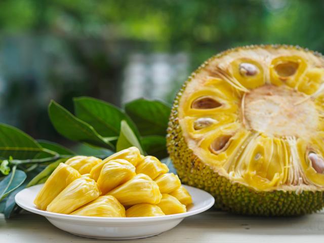 Business of Taste features an essay on the jackfruit and a recipe for a curry with jackfruit seeds (Shutterstock) Business of Taste features an essay on the jackfruit and a recipe for a curry with jackfruit seeds (Shutterstock)