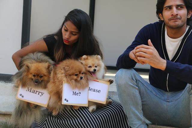 Oye Happy had to almost call off Rachel John’s proposal. The chartered plane they’d planned to use couldn’t take off because of bad weather. The company eventually regrouped, brought in some puppies and a guitarist they knew, and staged the proposal you see above.
