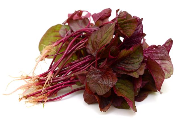 The red amaranth is power packed with vitamins and iron. (Shutterstock) The red amaranth is power packed with vitamins and iron. (Shutterstock)