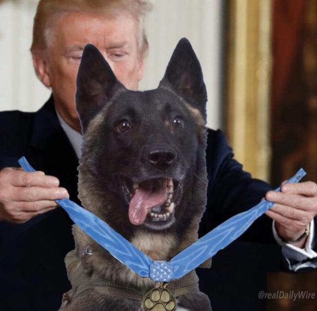 Edited image shows the US President Trump honouring Conan. (Twitter/@realDonaldTrump) Edited image shows the US President Trump honouring Conan. (Twitter/@realDonaldTrump)