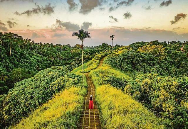 The Campuhan Ridge in Ubud offers sweeping views of undulating rice fields. (IStock) The Campuhan Ridge in Ubud offers sweeping views of undulating rice fields. (IStock)