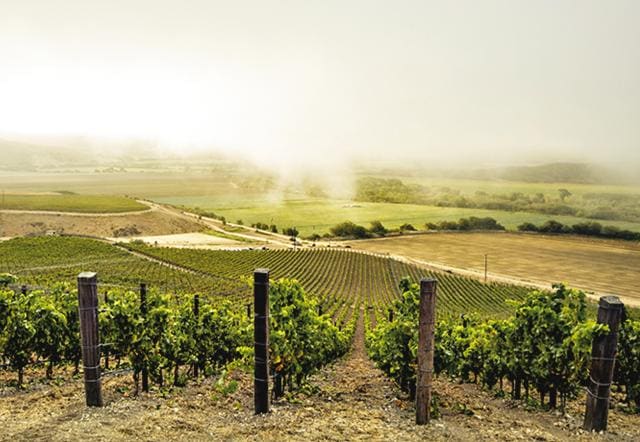 Once Rajat realised that wine was his passion, he began visiting vineyards, tasting wines, reading up and writing on great wines