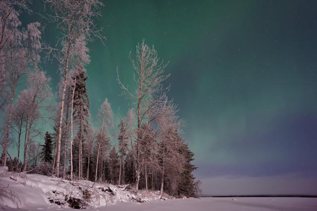 Lapland. (Unsplash) Lapland. (Unsplash)