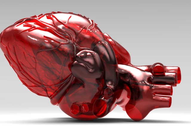 We’ve 3D-printed a heart, but it’s the size of a cherry or the heart of a rabbit, and a patient’s own cells were used in the development of the ‘ink’ for the 3D printer, so it’s not really an ‘artificial’ organ. (AFP) We’ve 3D-printed a heart, but it’s the size of a cherry or the heart of a rabbit, and a patient’s own cells were used in the development of the ‘ink’ for the 3D printer, so it’s not really an ‘artificial’ organ. (AFP)