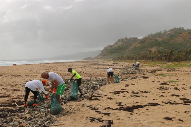 People volunteering to clean the beach. (Unsplash) People volunteering to clean the beach. (Unsplash)