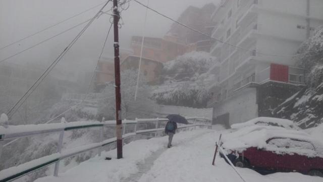 Life came to a standstill after heavy snowfall in Shimla on Wednesday. (Deepak Sansta/HT) Life came to a standstill after heavy snowfall in Shimla on Wednesday. (Deepak Sansta/HT)