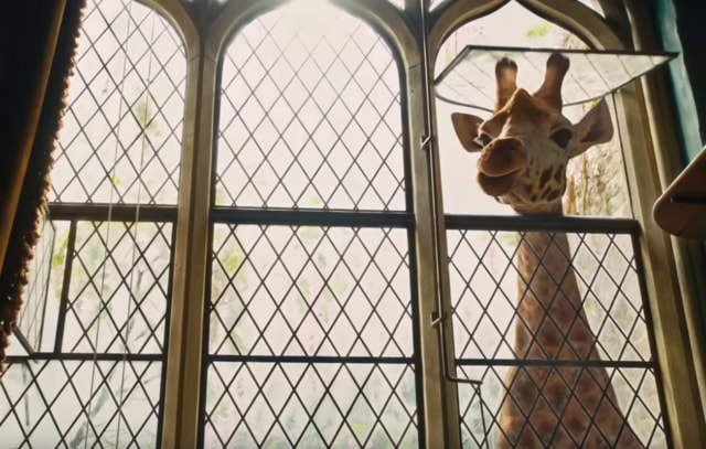 A still from Dolittle.