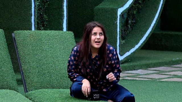 Bigg boss 13 2025 full episode 117