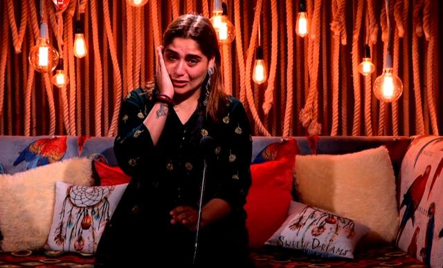 Bigg Boss 13 day 117 written update episode 117 January 24