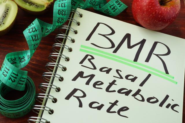 Basal metabolic rate is the number of calories needed to maintain your current body weight and accomplish basic life sustaining functions (Shutterstock) Basal metabolic rate is the number of calories needed to maintain your current body weight and accomplish basic life sustaining functions (Shutterstock)