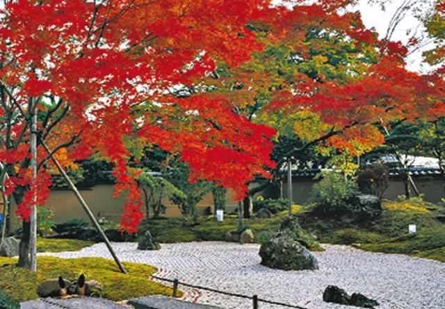 Take a stroll in the rock gardens or admire the beauty of maple trees inside the Entsuin temple complex Take a stroll in the rock gardens or admire the beauty of maple trees inside the Entsuin temple complex