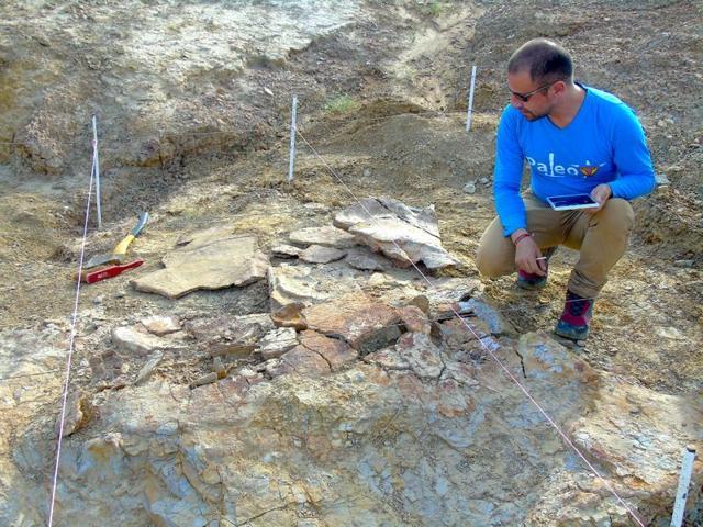 Colombian paleontologist Edwin Cadena is seen taking notes on one of the male specimens. (REUTERS) Colombian paleontologist Edwin Cadena is seen taking notes on one of the male specimens. (REUTERS)