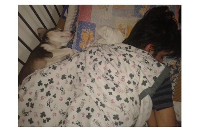 Angel sleeping with her human. Angel sleeping with her human.