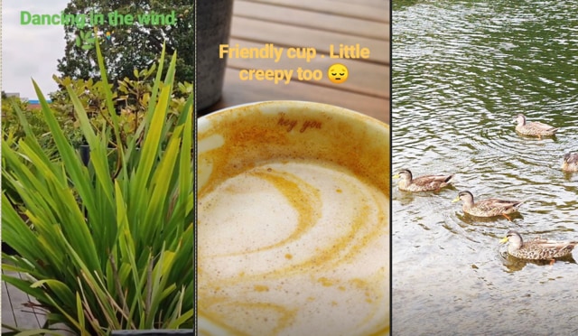 Anushka Sharma shared glimpses of her time in New Zealand on her Instagram stories.