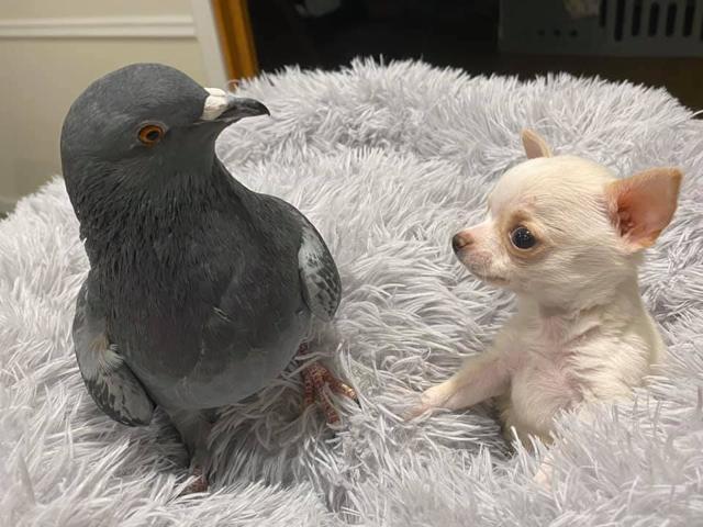 Herman and Lundy sitting on a bed together. Herman and Lundy sitting on a bed together.