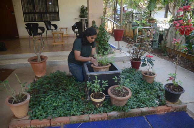 Vandana Krishnamurthy discontinued a career in research to set up Urban Mali, a social enterprise that helps city dwellers set up and maintain gardens (Kashif Masood / Hindustan Times)