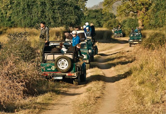 The national park comprises a range of terrains including vast grasslands, plateau and dense forest (Saubhadra Chatterji) The national park comprises a range of terrains including vast grasslands, plateau and dense forest (Saubhadra Chatterji)