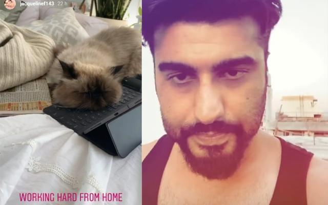 Jacqueline Fernandez’s cat sleeping on your iPad and Arjun Kapoor walking around on his terrace. Jacqueline Fernandez’s cat sleeping on your iPad and Arjun Kapoor walking around on his terrace.