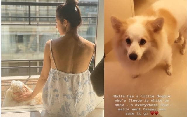 Malaika Arora is spending quality time with her dog, Casper.