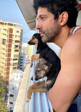 Actor Shibani Dandekar shared a glimpse of hanging out with “the boys”. (Photo: Instagram/shibanidandekar) Actor Shibani Dandekar shared a glimpse of hanging out with “the boys”. (Photo: Instagram/shibanidandekar)