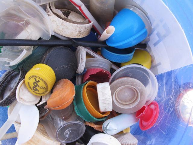 This photo shows some of the plastic caps collected by volunteers during cleanups. (AP) This photo shows some of the plastic caps collected by volunteers during cleanups. (AP)