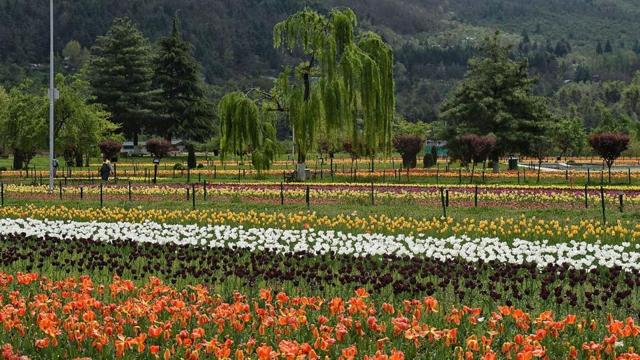 (Waseem Andrabi / HT Photo) (Waseem Andrabi / HT Photo)